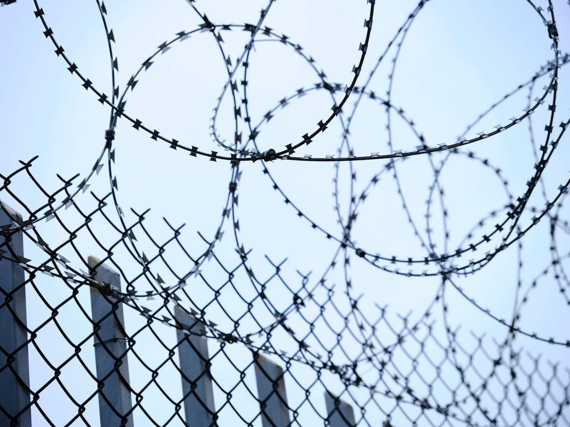 Image of barbed wire