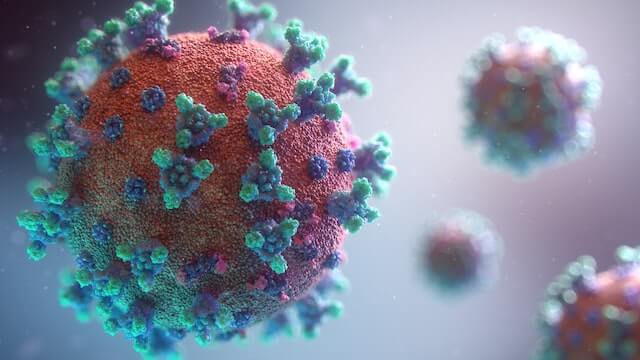 Covid virus macro shot.